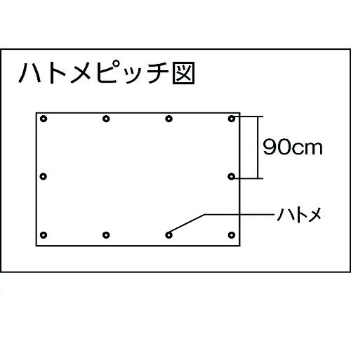 アサヒ #3000 ブルーシート ノンメタルハトメ 10×10m 製品図面・寸法図