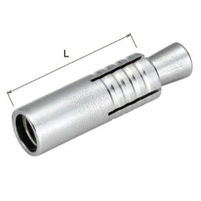 ASANO アンカー M10
