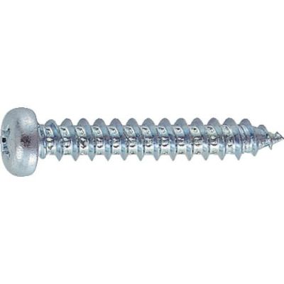 TRUSCO ナベ頭タッピングねじ ユニクロム M3×10 (260本入)