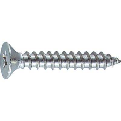 TRUSCO 皿頭タッピングねじ ステンレス M4×10 (100本入)