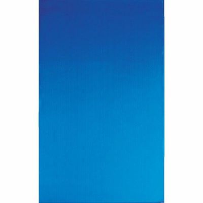 TRUSCO ダンボールプラスチック養生シート 910×1820mm 厚み2.5mm ブルー