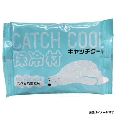 TRY 保冷剤 キャッチクール100g