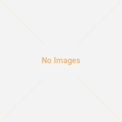 シンヤ ルーパー21 KL-250用 横幕テント 2枚セット