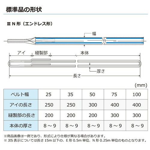 シライ ポリエステルスリング PET3N エンドレス形 6.3ton 幅100mm 長さ