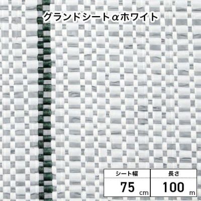 Dio ダイオ化成 グランドシートαアルファ ホワイト 75cm×100m巻 1巻 平織／ 下敷・防草シート資材 (プロ向け)