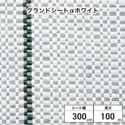 Dio ダイオ化成 グランドシートαアルファ ホワイト 300cm×100m巻 1巻